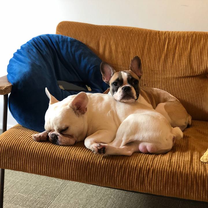 Afad6fbe 632f 4455 9320 e7ee4bf3c13f 1567864710328