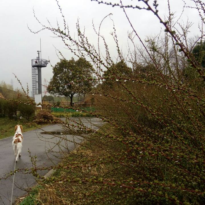 Afae248c d271 4746 b4db 0f440bced6af 1520237343818