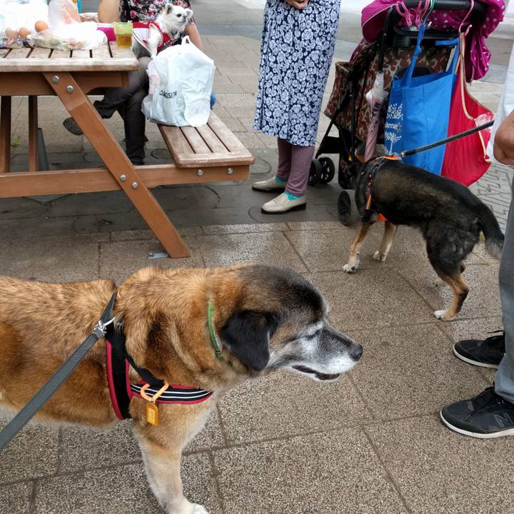 Afae2cfc 59f1 4641 b1ee ece957907bcb 1527639994490