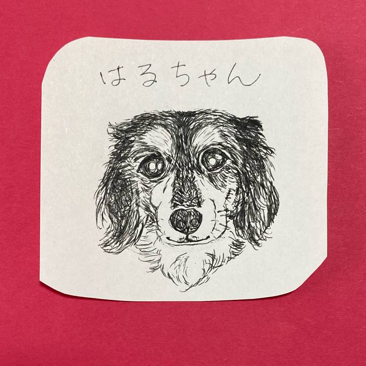 Afae44ce 0fce 48a4 a0e8 35483cd2762c 1618804503560