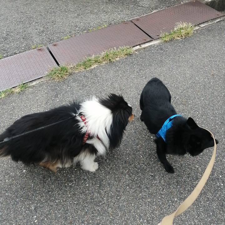 Afae9ecf 995f 43dd bf7d 7c66572fa06d 1631003296174