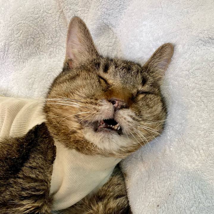 Afaea201 4fed 4ca4 9463 f85b814f8789 1688622386701