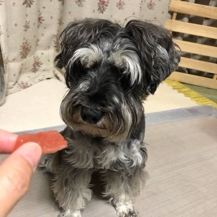 Afaebbae 4e1c 49d8 a6be fc053c623481 1623158846950