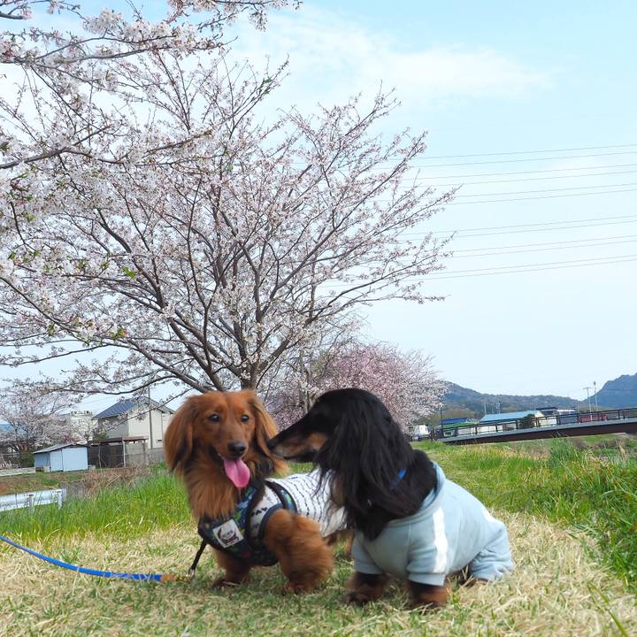 Afaecd96 ac92 482d bff4 96bce0900ffd 1744101844949