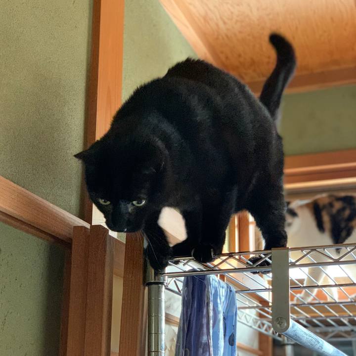 Afaed544 66df 41d3 8472 cd76933c3324 1583542956983