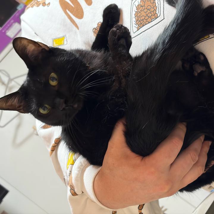 Afaee2bb 04f1 43ac abd1 3babe10bc60e 1772370442230