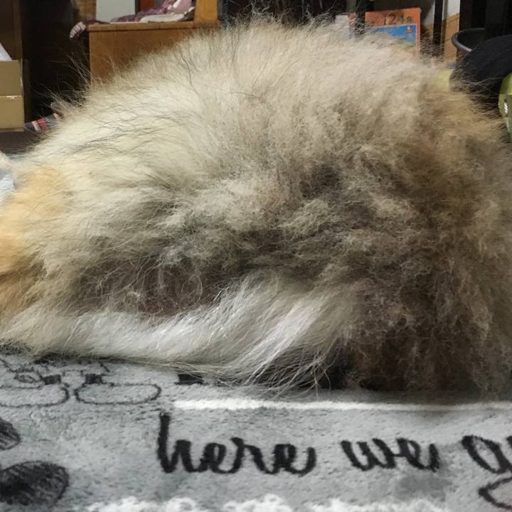 Afaf3751 d810 41ce 95e5 aa0a6fe75dfc 1628687393776