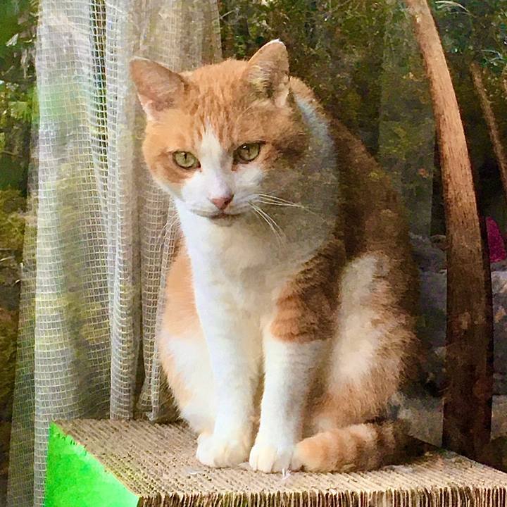 Afaf55e9 4812 45c8 ba03 faa1b6a58de0 1606255835785