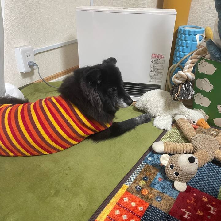 Afaf7457 a4b6 4fa6 a1e3 5ccc6571829f 1764449158323