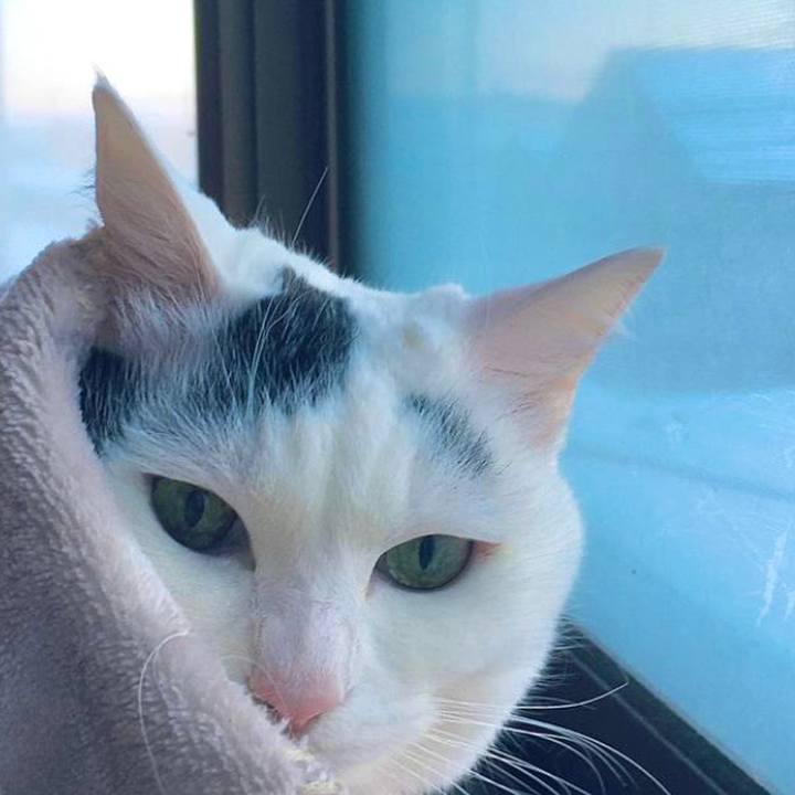 Afafc738 9421 46fa 8468 29a42b5904e3 1690506516065