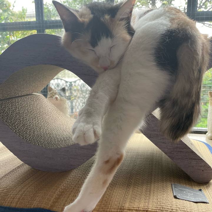 Afafe7a2 1f26 48c3 9574 32efad661ebf 1694149618089