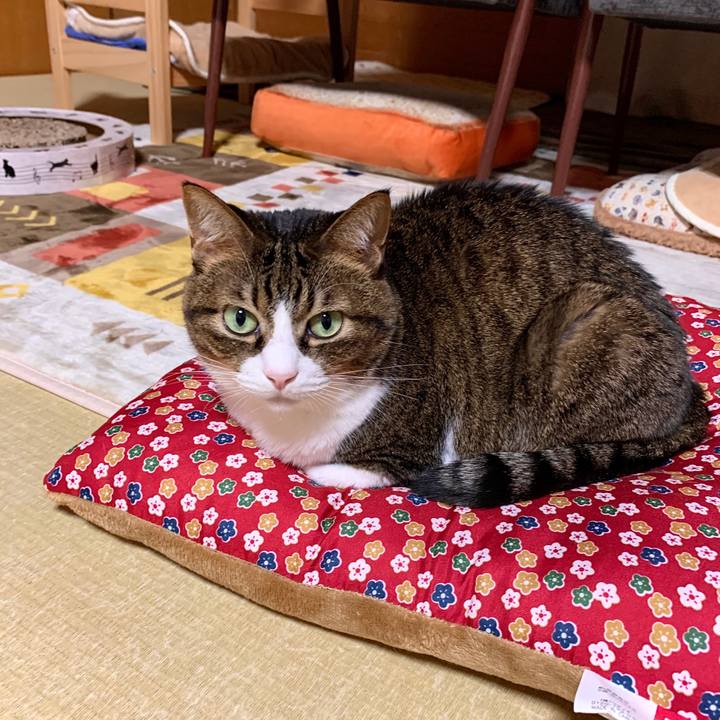 Afafed0f ba2f 4ae5 9195 868c984394e5 1573988507637