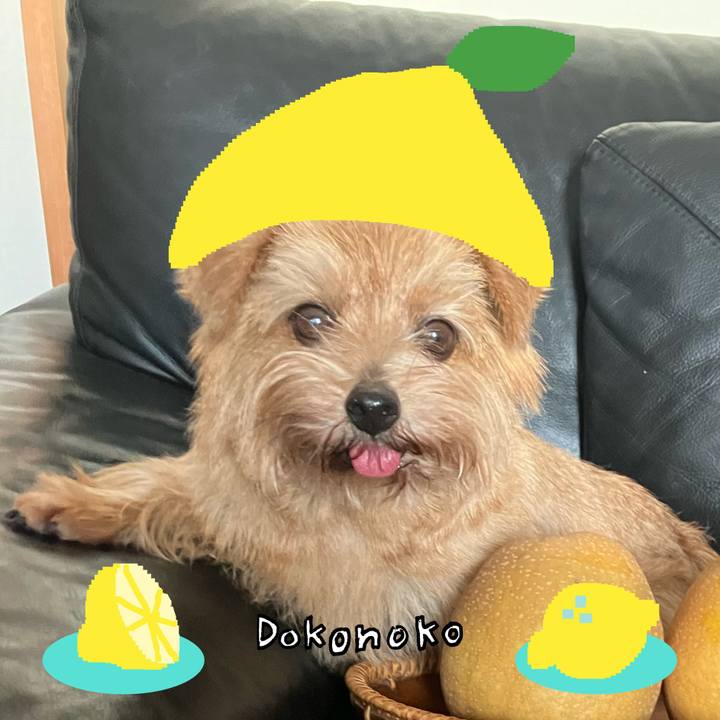 Afb02f1d d9a1 4d4b b1a3 919e66ff7d23 1741155521135