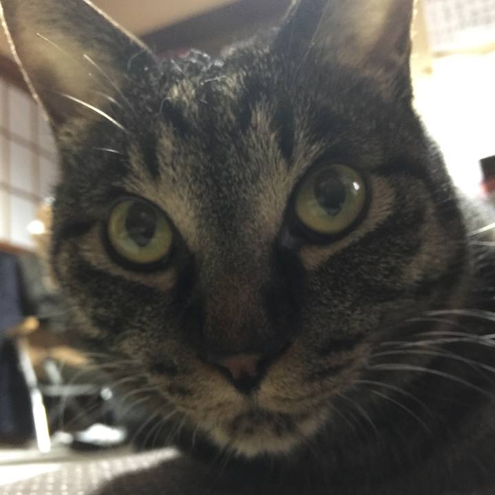 Afb09a35 be82 498b bfe9 163cdabc9657 1523361521401