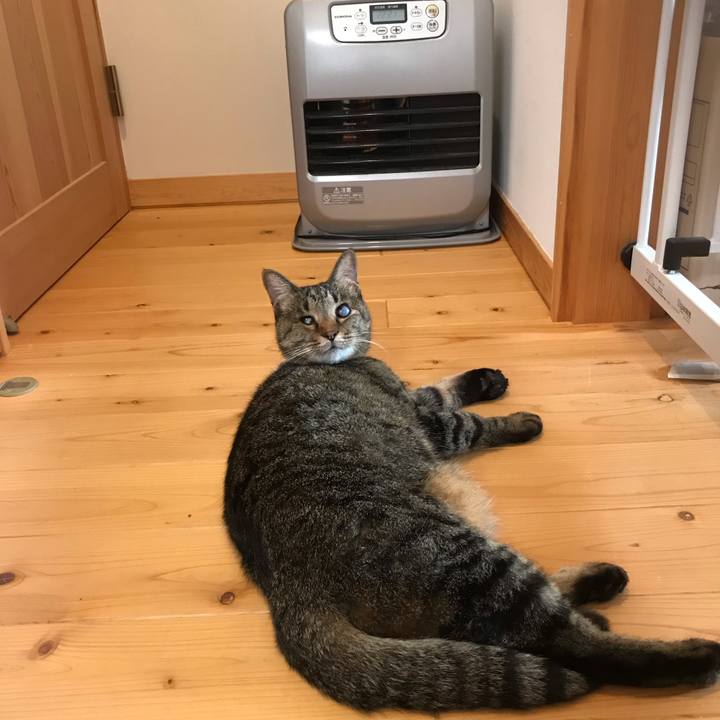 Afb0a733 a5c5 4d62 84e2 408e445bffd0 1609310668637