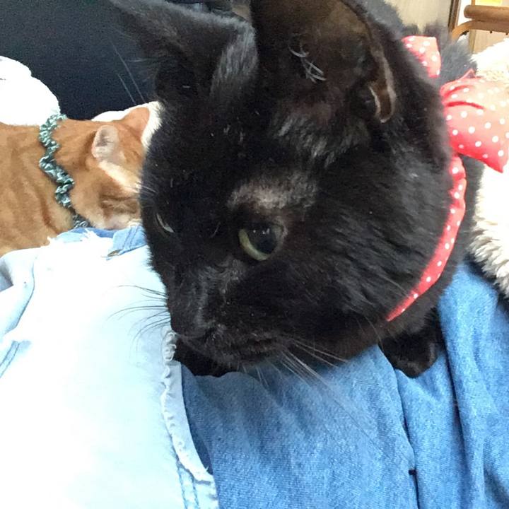 Afb0c9cd 0fd2 4d2f 9c90 f9dba4694c80 1553377939988