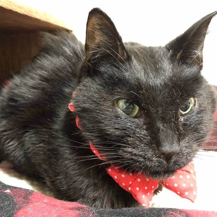 Afb0d1b6 c222 4489 bb6f cee49eea5598 1556979649972