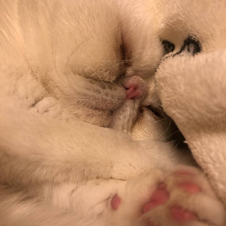 Afb0db8f 7e83 4fc7 89ad 4962d2c6ec6b 1671542478945