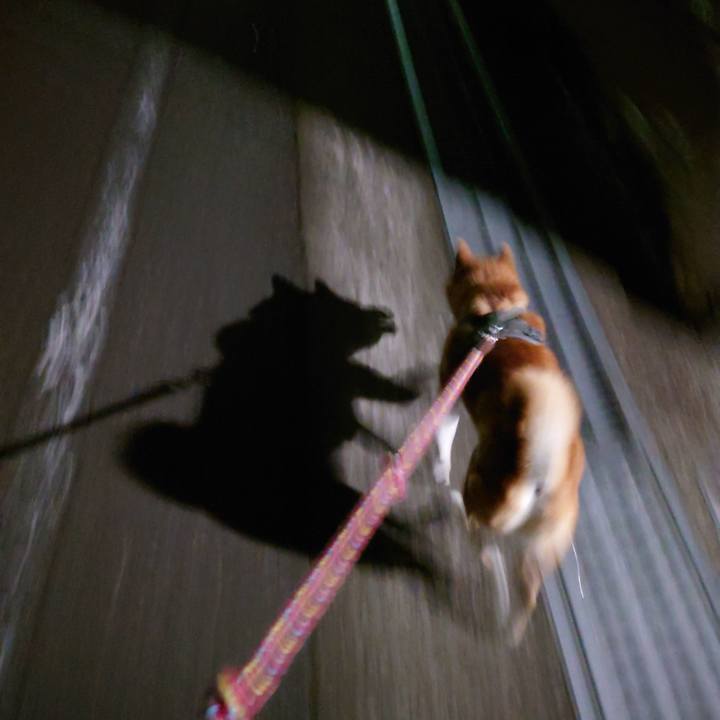 Afb11a29 d2a0 4f5e 8ac1 d626f7d89320 1766277328788