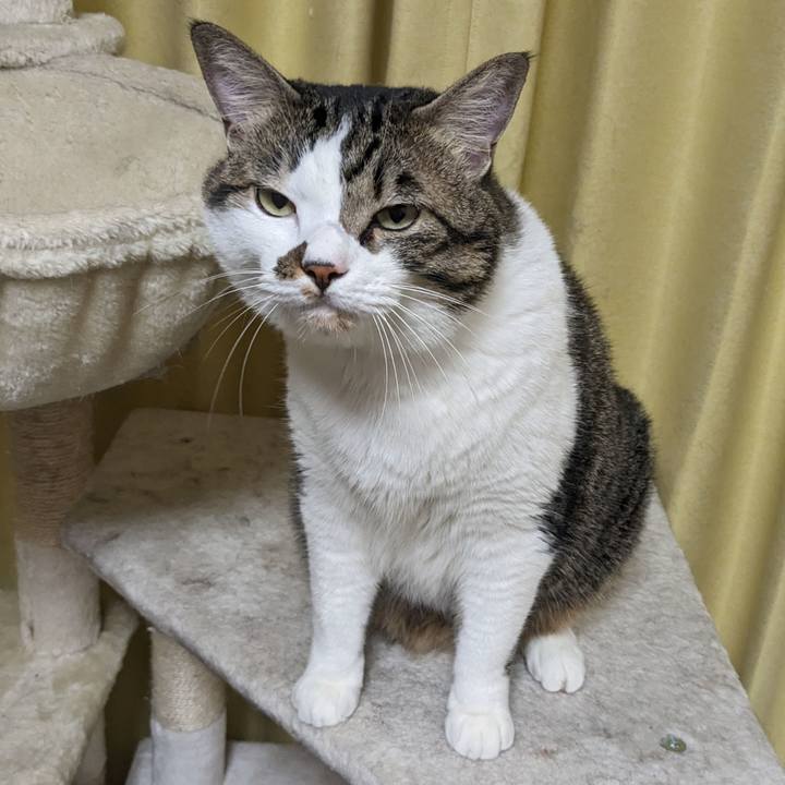 Afb128d0 a247 4d15 a49d 96516082f2dc 1695888207905