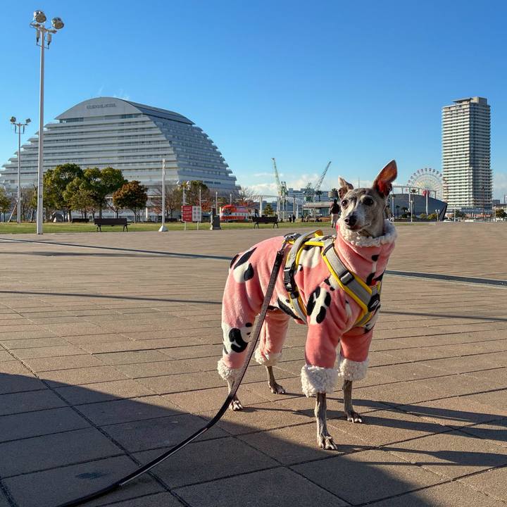 Afb1295f fb75 40b2 ac34 0cbebe158d98 1767775595655