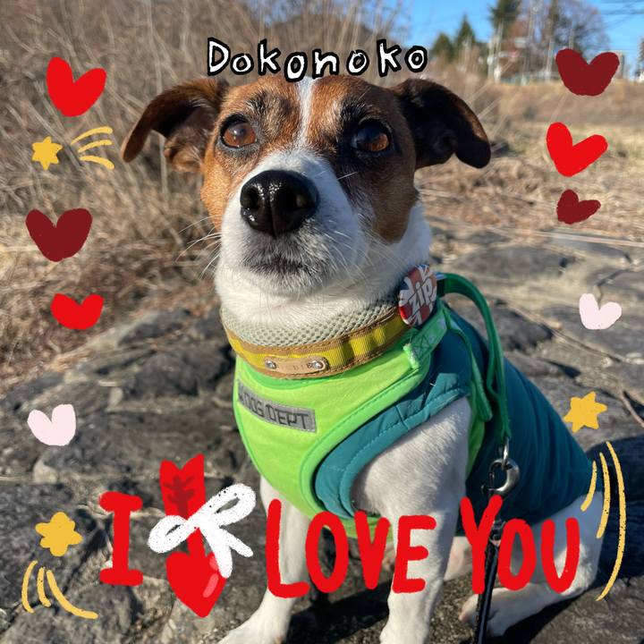 Afb12fa3 e155 4c74 b917 3a35a5afd167 1706778321981