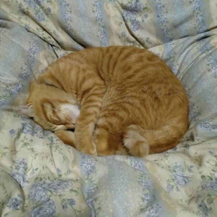 Afb1345a 282b 4251 9064 d32005fe5337 1665319491083