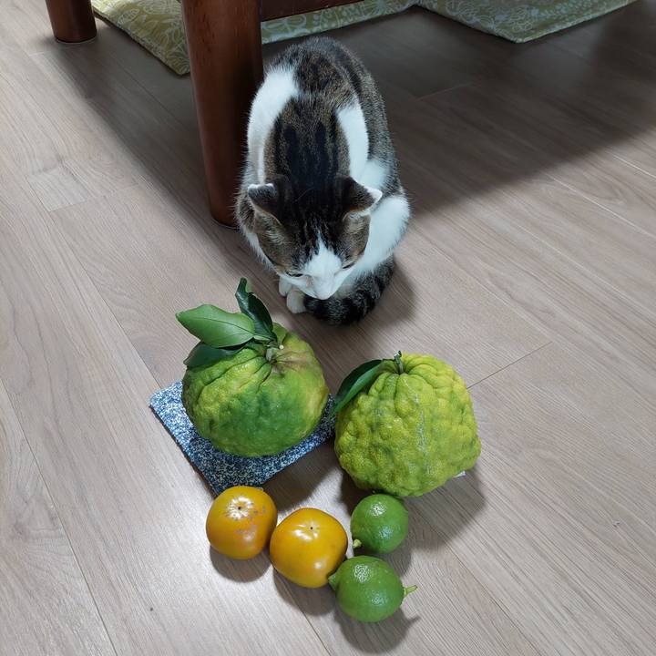 Afb1423d 06f5 4579 bd01 156303f8fff4 1728596200183