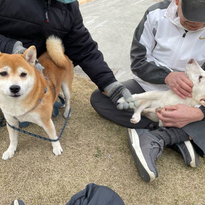 Afb157da 018c 4d98 a16b 2753cd9d2ada 1677928919917