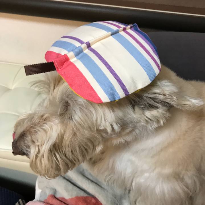 Afb1cf39 7998 4c94 9f19 dd0a888e3f1e 1518607093516