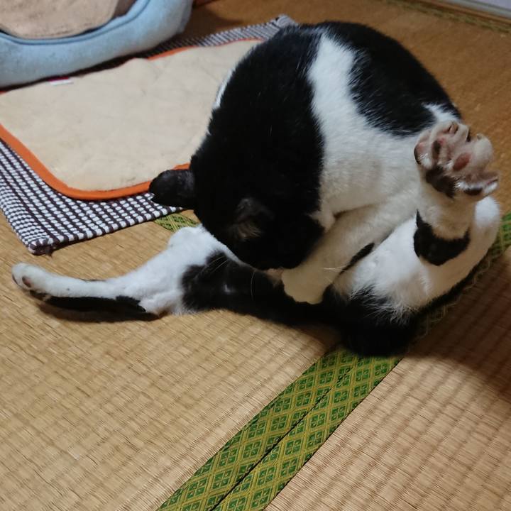 Afb1ebad 2349 4131 acab d5af4829ce32 1538623199986