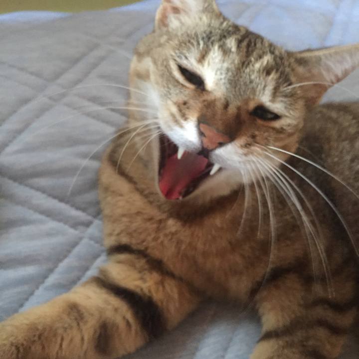 Afb1fe28 3b65 4bbf 98ba 7f22787df686 1531344200845