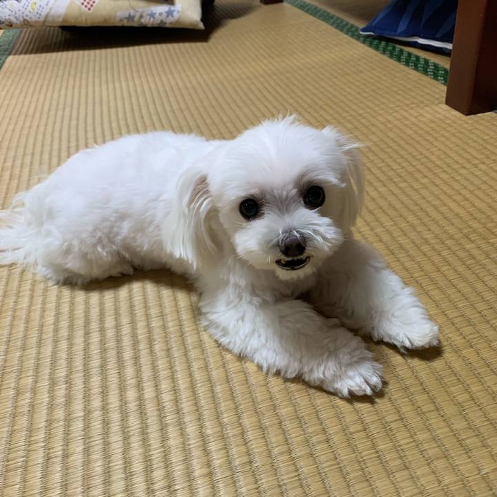 Afb22355 d61d 4398 9405 ac48960b2e0c 1597742261887