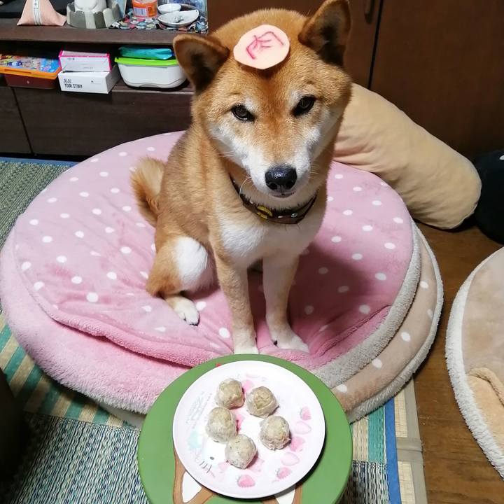 Afb2952c 1582 4be3 abf8 e5101fb8d2f8 1590745711667