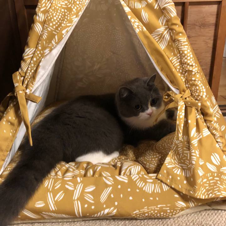 Afb2a30f ea81 4c60 afa1 9e45c0c16b99 1561639318896