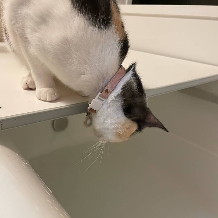 Afb2abdf 4e7a 4dc4 bd65 97ad46d27845 1696590790983