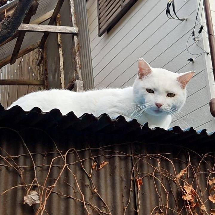 Afb2d74b 6a3b 45bb 9a8e fb42c45a1266 1700715372087