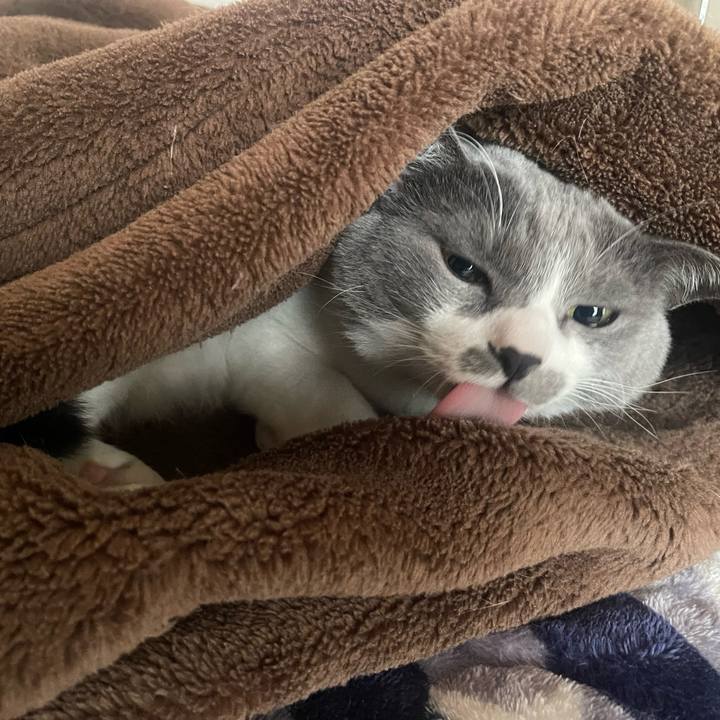 Afb2e255 e83b 4ba8 a3f7 8e5d88a4b75d 1669597305948