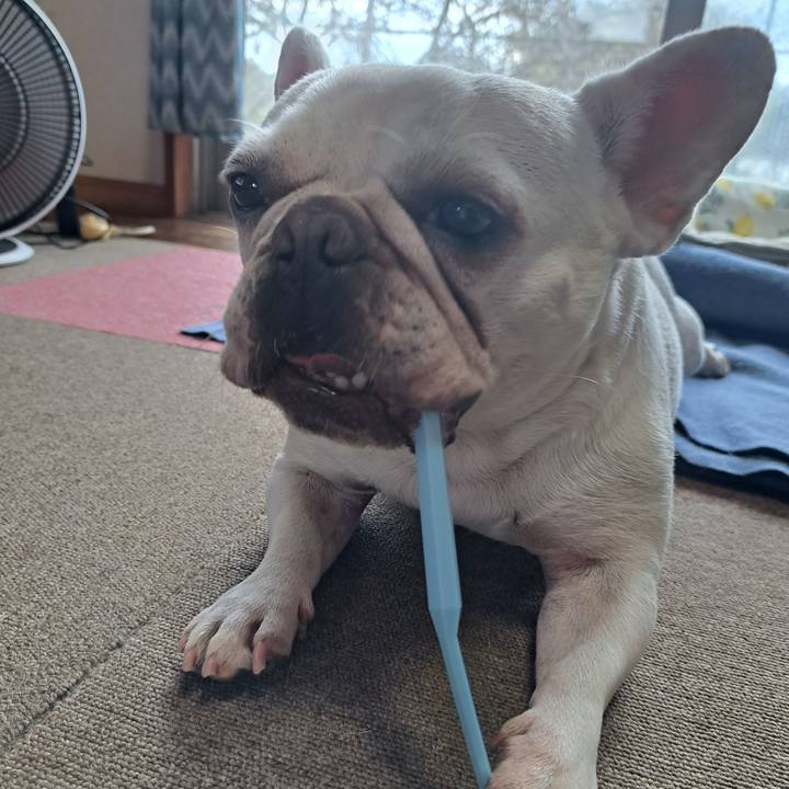 Afb2e9ff 4c7b 432a b9f4 d7e085346c46 1695338876041