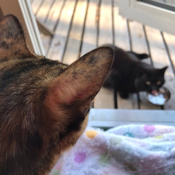 Afb2f216 7bd8 457f b713 7480d5f11174 1623190604225