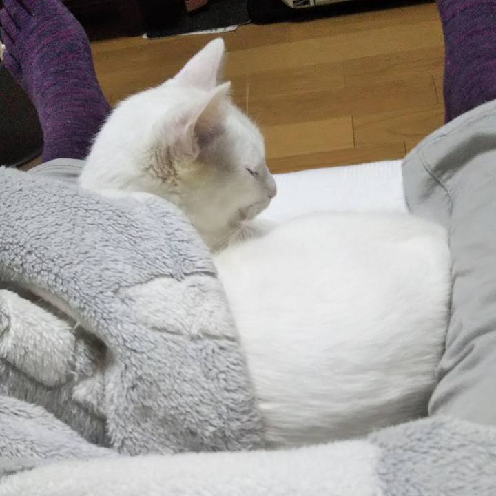 Afb37bf6 22e7 4c06 be5d cf563d83f8ba 1638772264167