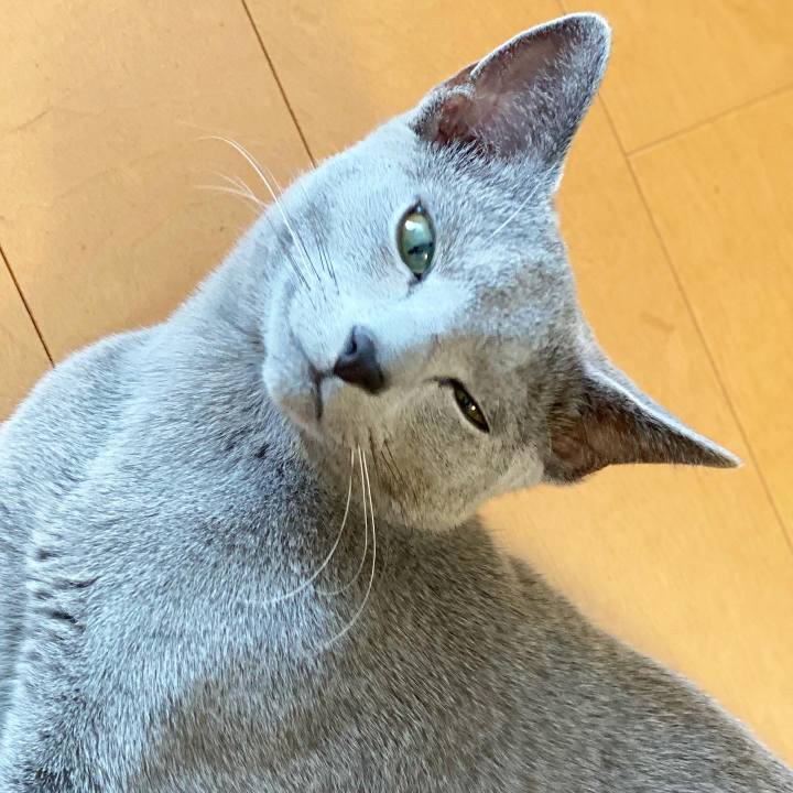 Afb3894d 136a 421c 9af7 3614466556d6 1615801399604