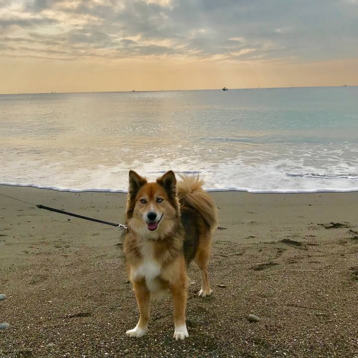 Afb392c0 b20d 40e6 ac1d b1857811783f 1516428454846