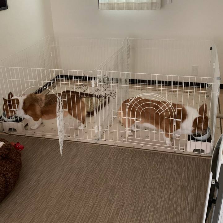 Afb39f0d e026 464a 92f2 697bd658f88a 1575602948997