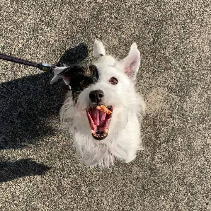 Afb3c93e b2fa 42fe a61c 1ebdd35f7640 1699401956806