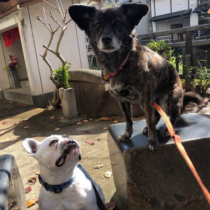 Afb3d772 7d40 434c 81be 348cd4c1a5f0 1575864991265