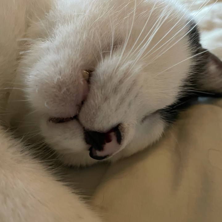 Afb3fda8 5931 4038 8644 72935b7a432e 1628456689268