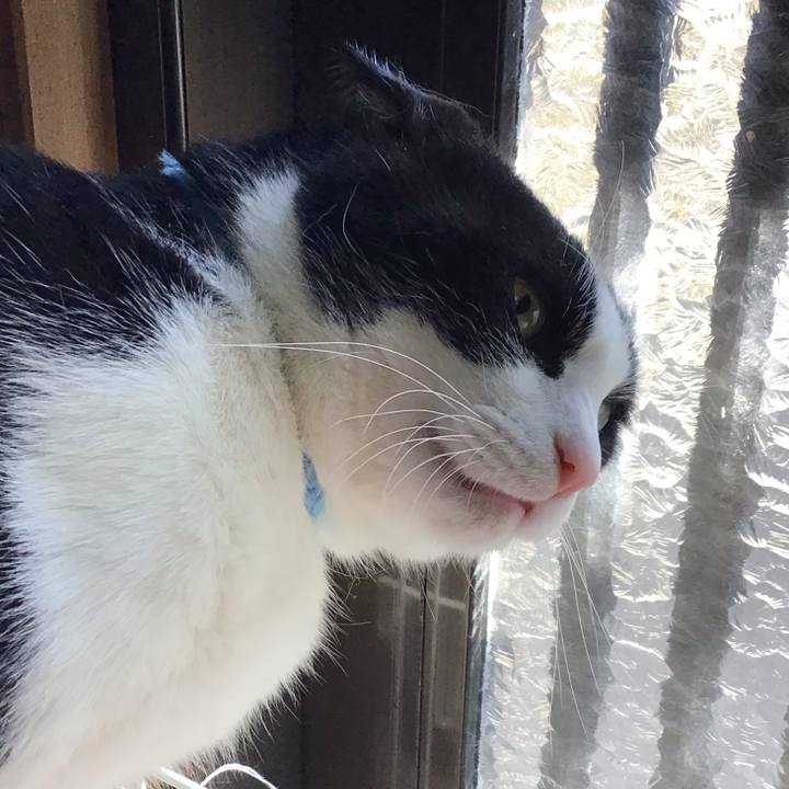 Afb46ada 29b6 4d2b 9b72 ba7ce441c016 1741950761182