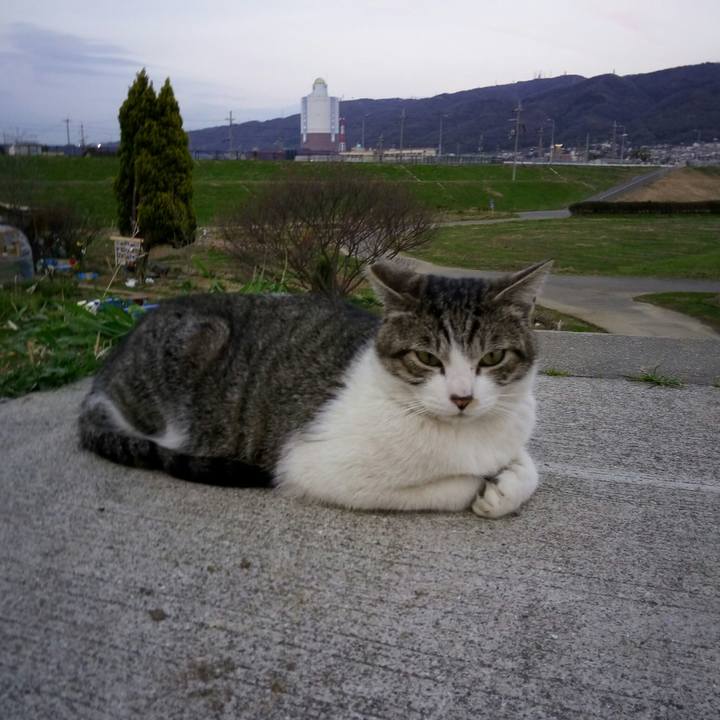 Afb47d2d 3560 40df b564 0052c8a9a4f3 1521114877566