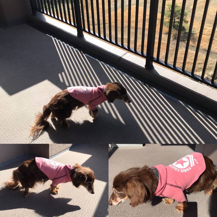 Afb4f59b 776f 48d9 9563 5824cf46767a 1585784428683